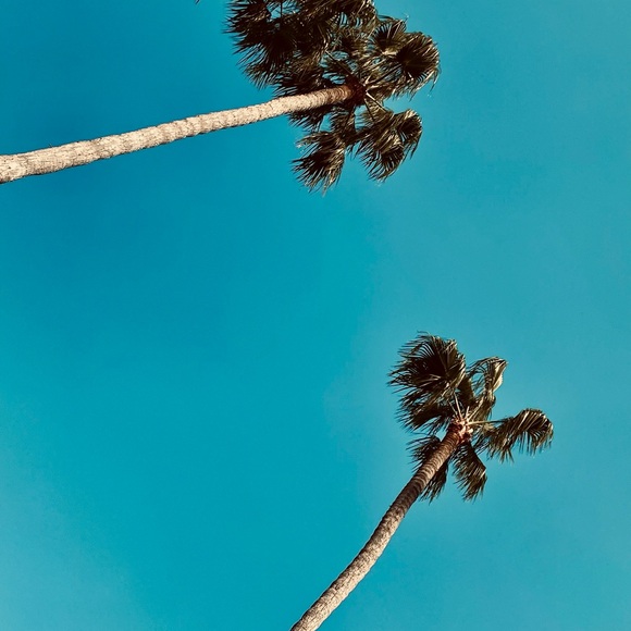 Meet your Posher - Picture 5 of 7